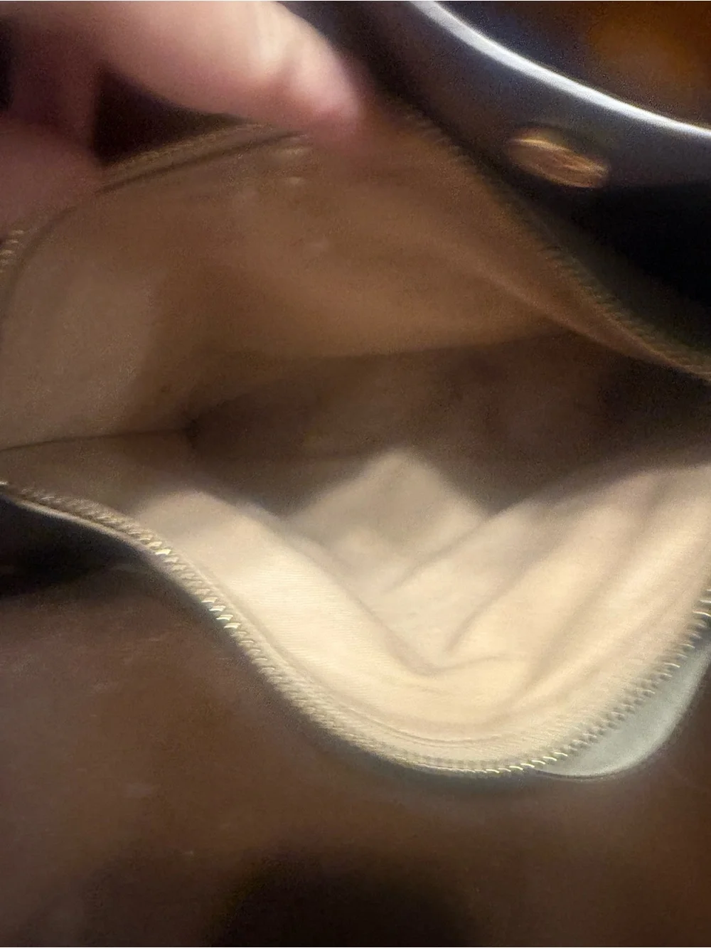 Tory Burch Lee Radziwill Double Bag Snake-Print embossed leather